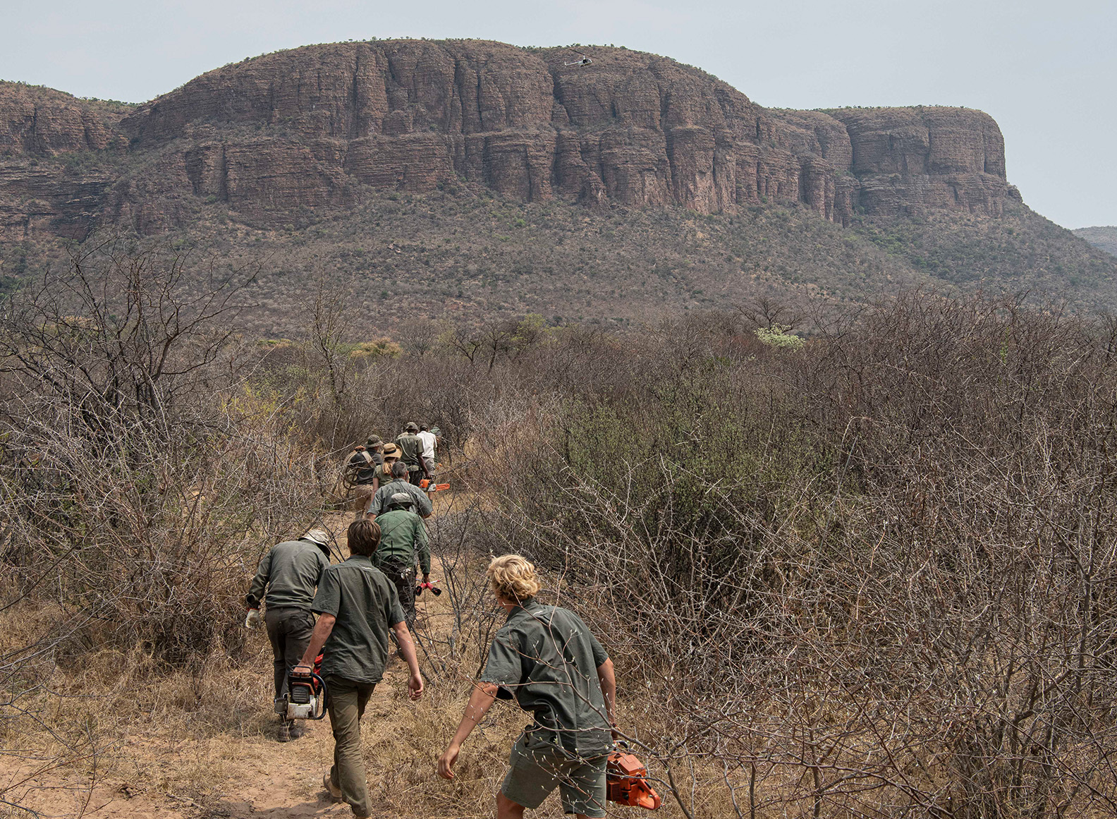 Rhino registration 1